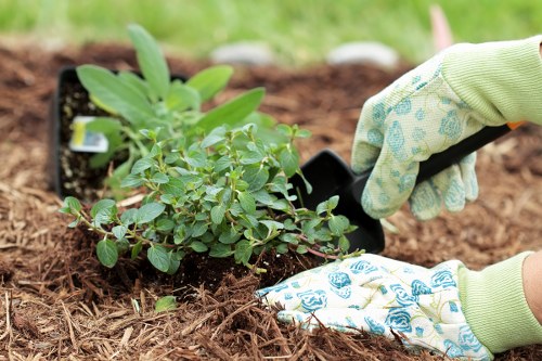 Waste volume from tree surgery measured for cubic-yard pricing