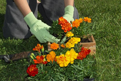 Tree Surgeons Ealing website privacy and cookie management