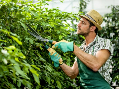 Trusted Tree Surgeons Ealing payment and security system