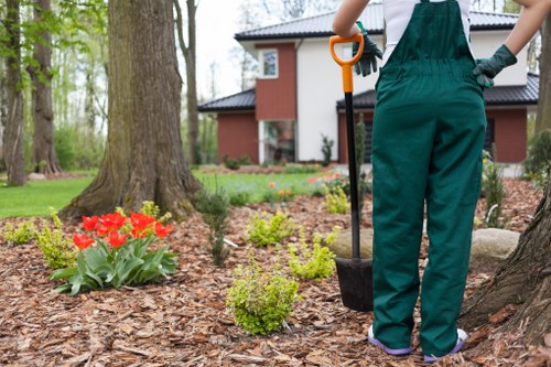 Commercial hedge cutting for a tidy business frontage in Ealing